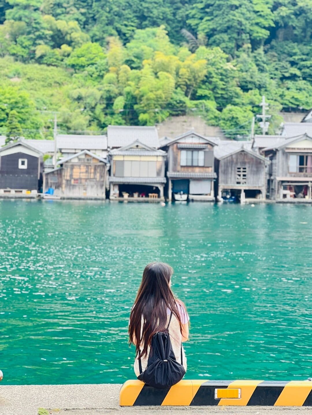 ⭐아마노하시다테&이네후나야⭐오사카 교토 소도시 일일 버스투어 (한국인가이드/라쿠투어)